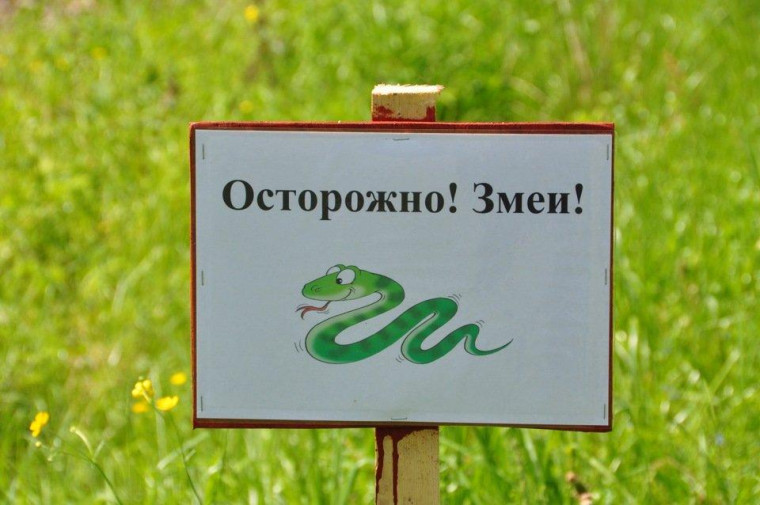 Осторожно змеи.